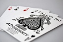 Tally Ho Playing Cards